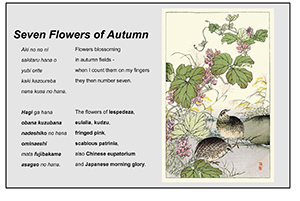 Seven Flowers of Autumn Blog
